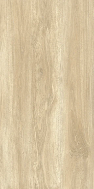 Керамогранит Gresse GRS11-17S Ajanta Ash 120x60