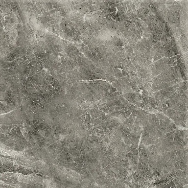 Керамогранит ProGRES Ceramica GNR0122-G Магма Серый темный граниль 600x600x9.5