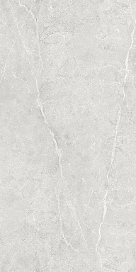 Керамогранит Global Tile GT1206020506LGR Ideal Светло-серый лаппатированный 60x120