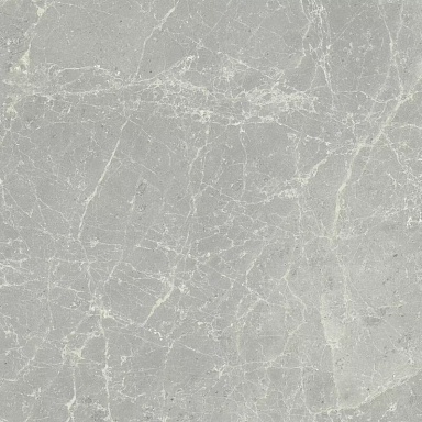 Керамогранит Cerim 760074 Exalt Silver Light Nat Ret 60x60