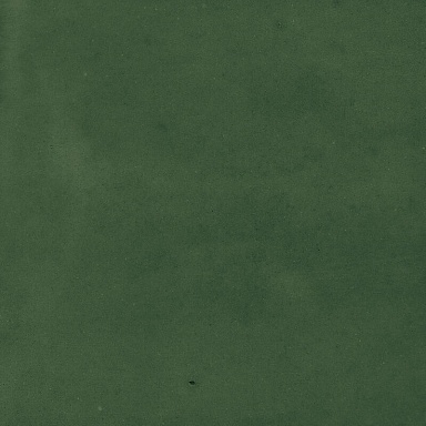 Керамогранит Harmony 43289 Samira Green 10x10