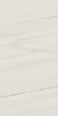 Керамогранит Italon 610015000355 Charme Extra Lasa Nat Ret 30x60