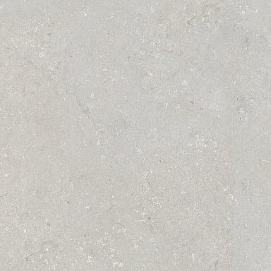 Керамогранит Dado Ceramica 005847 Shellstone Bianco 120x120
