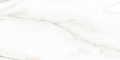 Плитка Alma Ceramica TWU2550EPH04 Euphoria 249x500x7