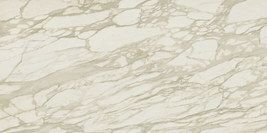 Керамогранит Atlas Concorde Italy AENU Marvel Royal Calacatta Lappato 120x240