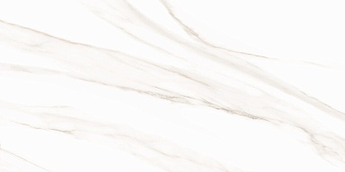Плитка AltaCera WT9ESR00 Esprit Calacatta 250*500*9