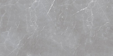 Керамогранит Ocean-Ceramic Arion Gray Dark 59.7х119.7