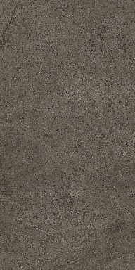 Керамогранит Casa Dolce Casa 768349 Sensi Brown Dust Ret 40x80