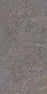 Керамогранит Protiles PT12P7057 Verona Pol 1200х600х9