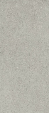 Керамогранит Italon 600180000082 Forum Stone Silver 120x278