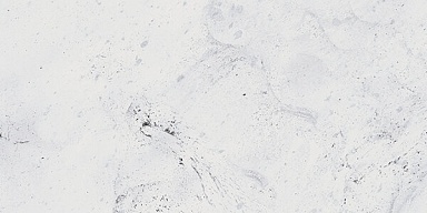 Керамогранит Gracia Ceramica Inverno white 01 30х60