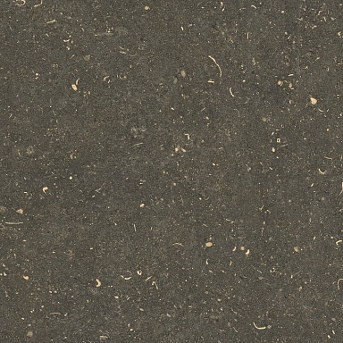 Керамогранит Casa Dolce Casa 785487 Rinascenza Arena Platino Matte 60x60