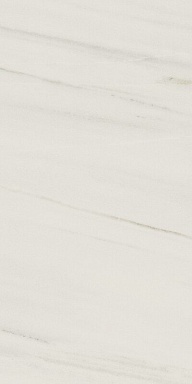 Керамогранит Italon 610015000355 Charme Extra Lasa Nat Ret 30x60