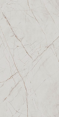 Керамогранит Arcadia Ceramica CR4027-A Valencia Silver Grey Carving 60x120