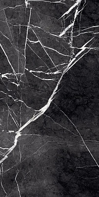 Керамогранит PrimaVera GR203 Fedele Negro High glossy 600x1200