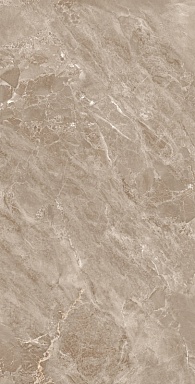 Керамогранит Arcadia Ceramica FP1031-A Modena Brown Full Polished 60x120