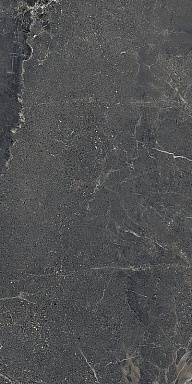 Керамогранит Lea Ceramiche LGXAL55 Anthology 05 Dark Nat. RT 9.5mm 60x120