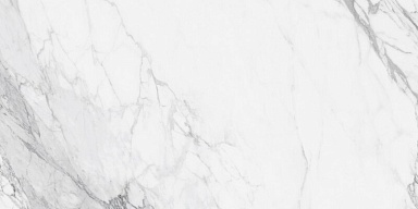 Керамогранит NT Ceramic NTT99528P Artic statuario Glossy 60x120