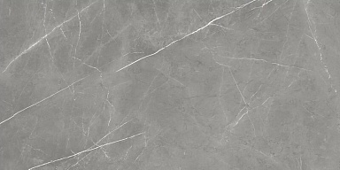Керамогранит Атлас Конкорд Россия 610015000657 Forte dei Marmi Elegant Grey Rett Cer 60x120