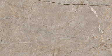 Керамогранит Cersanit 17124 Silver Roots серый матовый ректификат 60x120