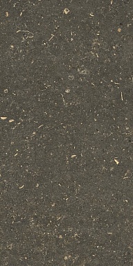Керамогранит Casa Dolce Casa 785503 Rinascenza Arena Platino Grip 30x60