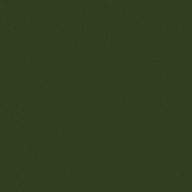 Плитка Ape Verde Botella Brillo 20*20
