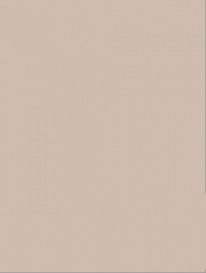 Плитка RAKO WAAKB008 CONCEPT Plus Beige 25x33