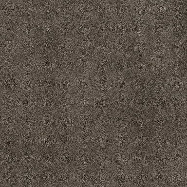 Керамогранит Casa Dolce Casa 768378 Sensi Brown Lithos Ret 80x80