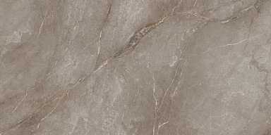 Керамогранит Neodom N20483 Orobico Brown Polished 60x120