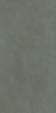 Керамогранит Casa Dolce Casa 778884 Essential Mood Color Powder 02 6mm 120x240