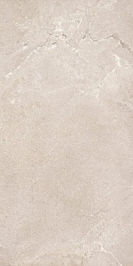 Керамогранит Dado Ceramica DNWS201 New Stone Daino 60x120