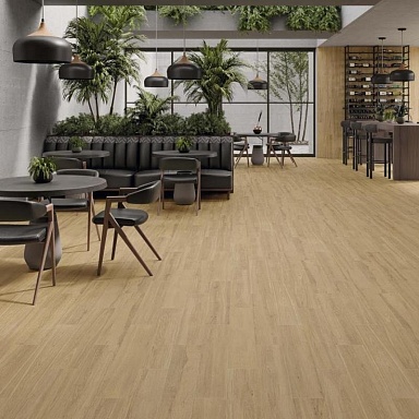 Dexter STN Ceramica