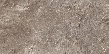 Керамогранит Leopard 6405 Stone Grey Polished 60x120