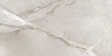 Керамогранит Best Ceramic KSW612DG008 Fish Maw Ash Digital Carving 60x120