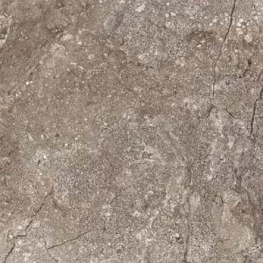 Stone Leopard