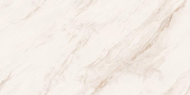 Керамогранит Neodom N20765 Angelo Oro DG Carving 60x120