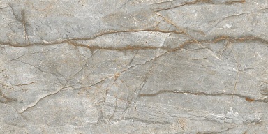 Керамогранит NT Ceramic NTT99517M Forest Carving 60x120