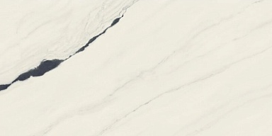 Керамогранит Атлас Конкорд Россия 610015000656 Forte dei Marmi Panda White Rett Cer 60x120