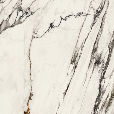Керамогранит Porcelanosa 100331132 Xlight Paonazzo Biondo Polished 120x120