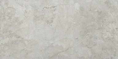 Керамогранит ProGRES Ceramica NR12060406-M Имперо Серый светлый матовый 1200x600x9.5