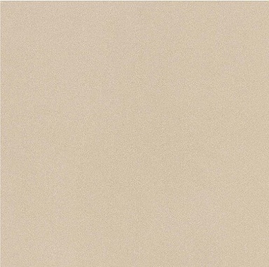 Керамогранит Imola Ceramica PRTU 120A RM PARADE 120x120