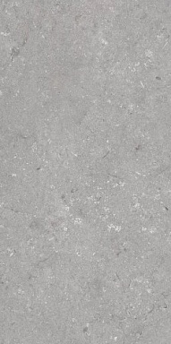 Керамогранит Dado Ceramica 005485 Shellstone Grigio 60x120