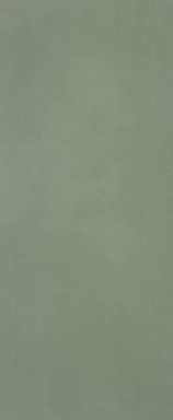 Плитка FAP Ceramiche fTOJ Materia Brillante Bosco Brillante RT 50x120
