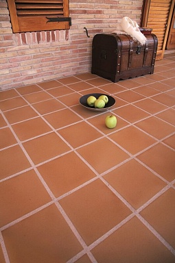 Ступень Gres de Aragon Esquina esc. 24 Natural 33*33