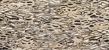 Декор Imola Ceramica GHEPARD6 12LP The Room 60x120