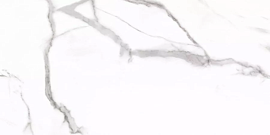 Керамогранит Prime Ceramics Carrara Rect матовая 60x120