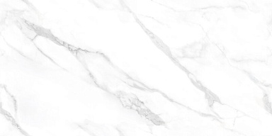Керамогранит NT Ceramic NTT99506P Statuario Endless 60x120
