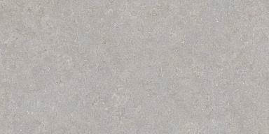 Керамогранит Peronda 35568 Ghent Grey/50X100X2/A/R 50x100