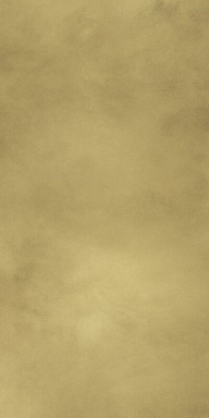 Керамогранит Italon 610015000645 Continuum Brass Gold Lap 80x160