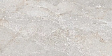 Керамогранит Art Ceramic Stonico Oyster Grey Glossy 60x120